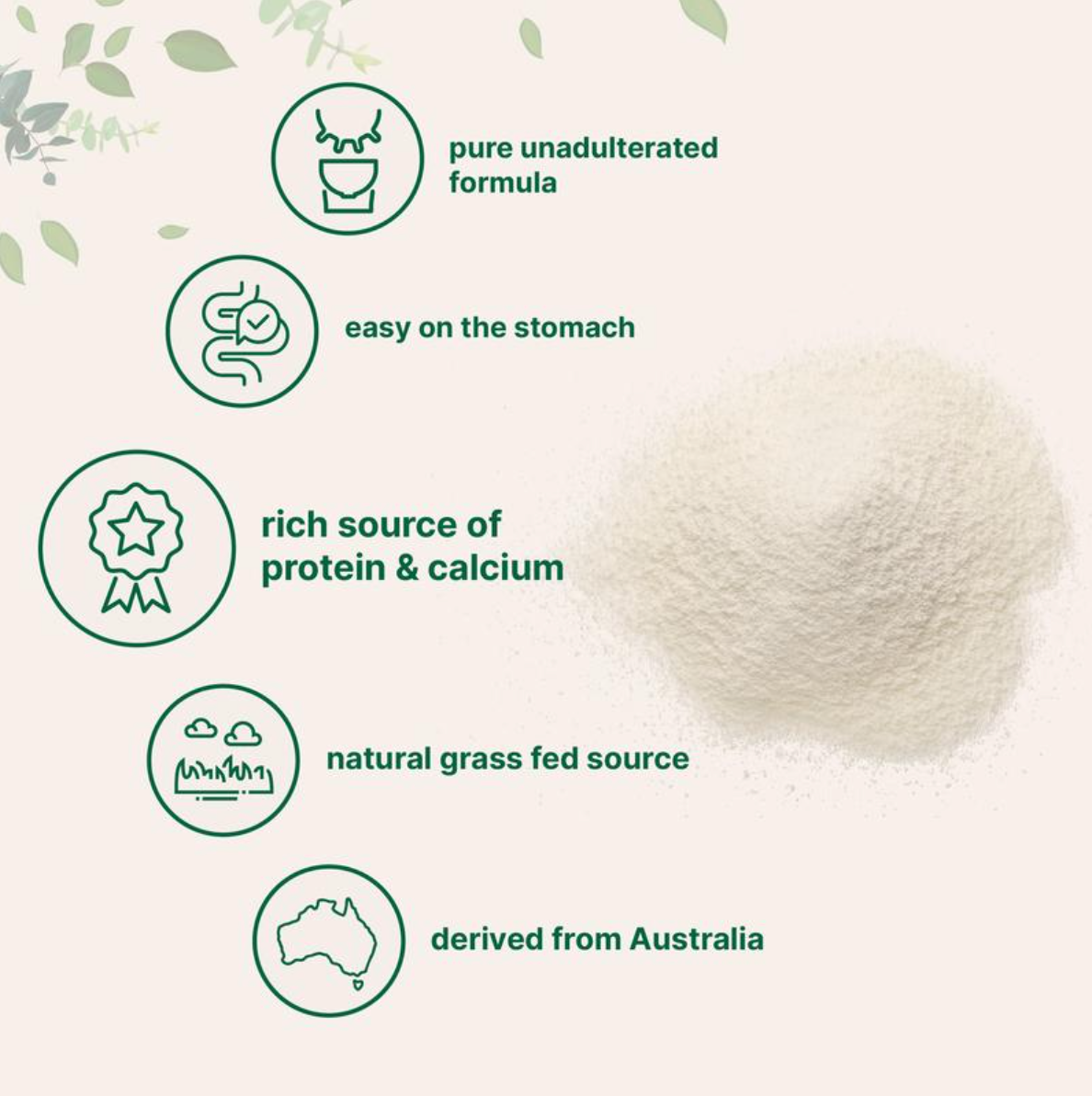 Goat Milk Powder